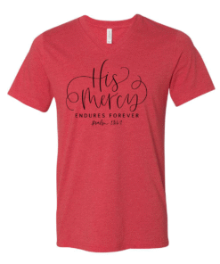 Bella Canvas Heather Color V-Neck Tees - His Mercy